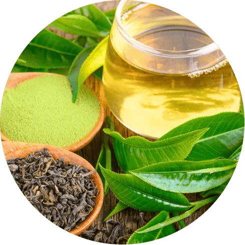 L-Theanine Calm Focus and Relaxed Alertness